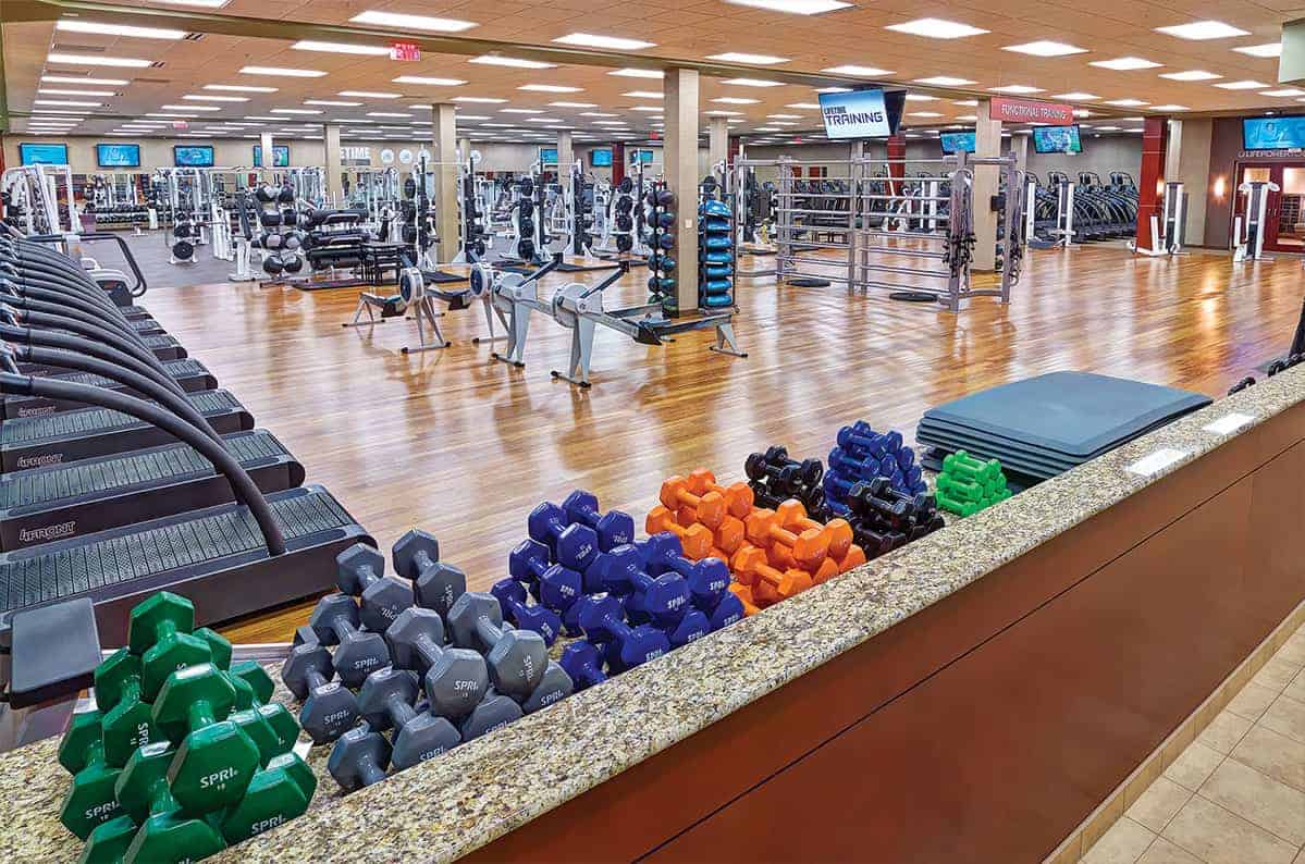 Lifetime fitness gym discount equipment